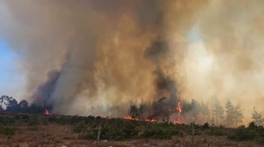 Çanakkale'de yeni bir yangın daha başladı! Ekipler müdahale ediyor...
