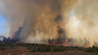 Çanakkale'de yeni bir yangın daha başladı! Ekipler müdahale ediyor...