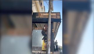 Elektrik akımına kapılıp, direkten düştü