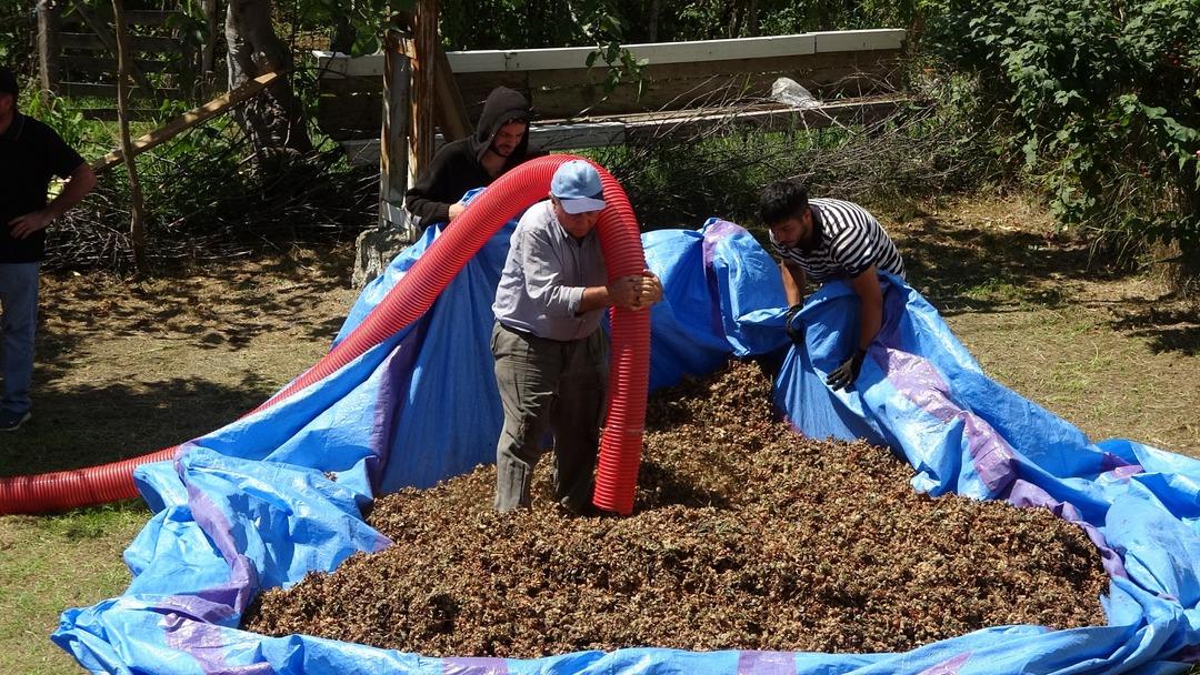 Saatlik ücret 4500 TL!  Az çalışıyoruz, müşterilerimizi gezmek zorundayız  Gece gündüz demeden gidiyorlar 2