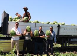 'Geçen yıl para kazanan üretimi artırıyor' Planlama eksikliği fiyatları vurdu