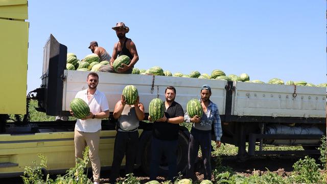 'Geçen yıl para kazanan üretimi artırıyor' Planlama eksikliği fiyatları vurdu