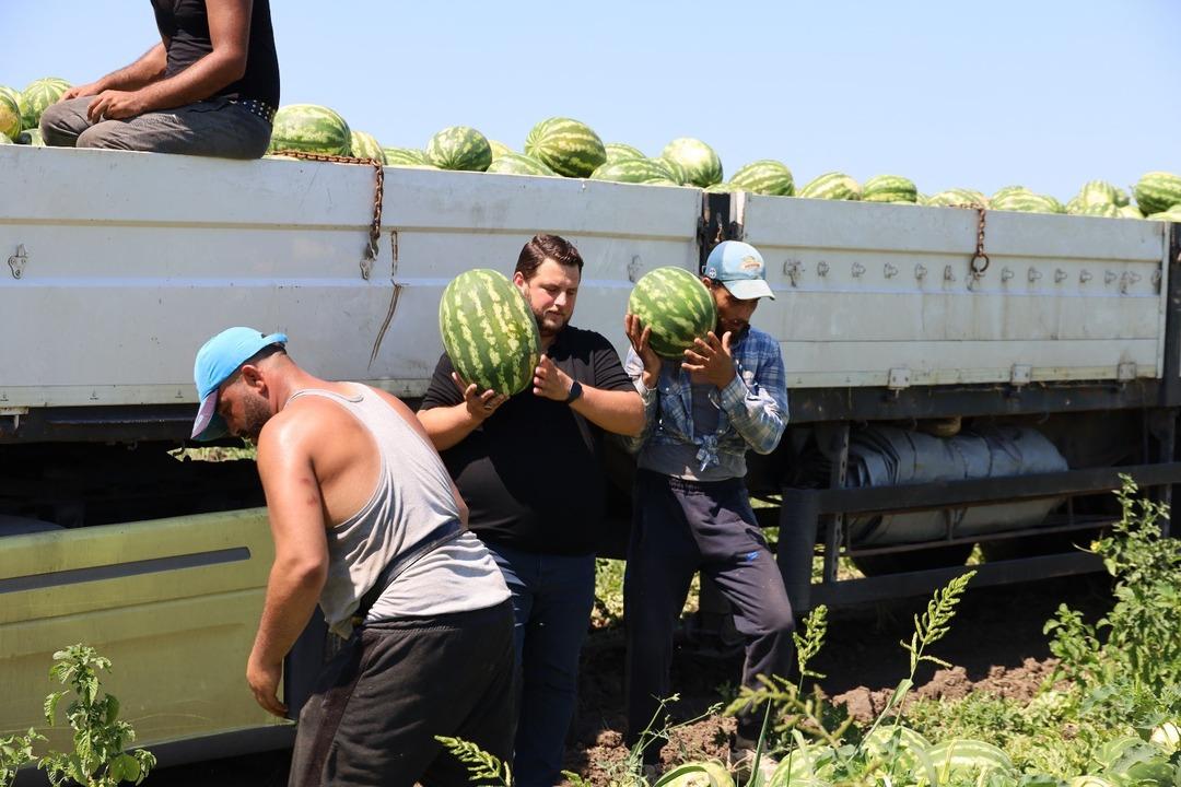  Geçen yıl para kazanan üretimi artırıyor  Planlama eksikliği fiyatları vurdu 3