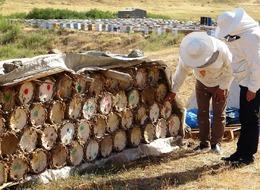 Küresel ısınma arıcıları tedirgin ediyor