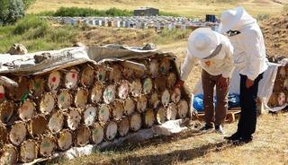 Küresel ısınma arıcıları tedirgin ediyor