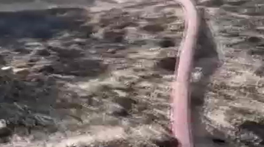 Anız yangınında alevler ormana sıçradı