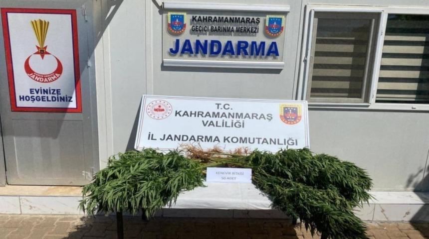 Çeşitli suçlardan yakalanan 14 şüpheli tutuklandı