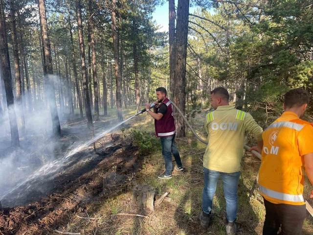 Han&ouml;n&uuml;&rsquo;de &ccedil;ıkan orman yangını s&ouml;nd&uuml;r&uuml;ld&uuml; 1