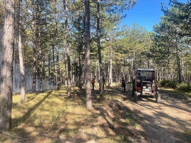 Han&ouml;n&uuml;&rsquo;de &ccedil;ıkan orman yangını s&ouml;nd&uuml;r&uuml;ld&uuml; 2