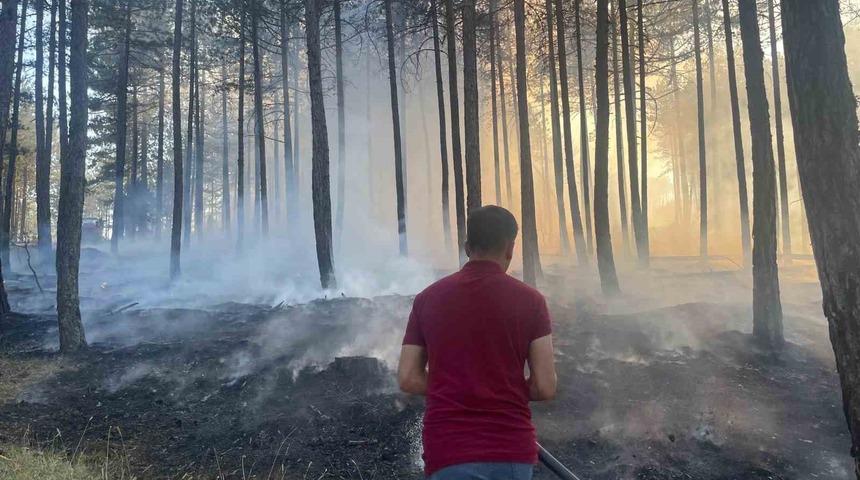 Han&ouml;n&uuml;&rsquo;de &ccedil;ıkan orman yangını s&ouml;nd&uuml;r&uuml;ld&uuml;
