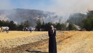Bolu’daki orman yangınıyla ilgili 1 kişi tutuklandı