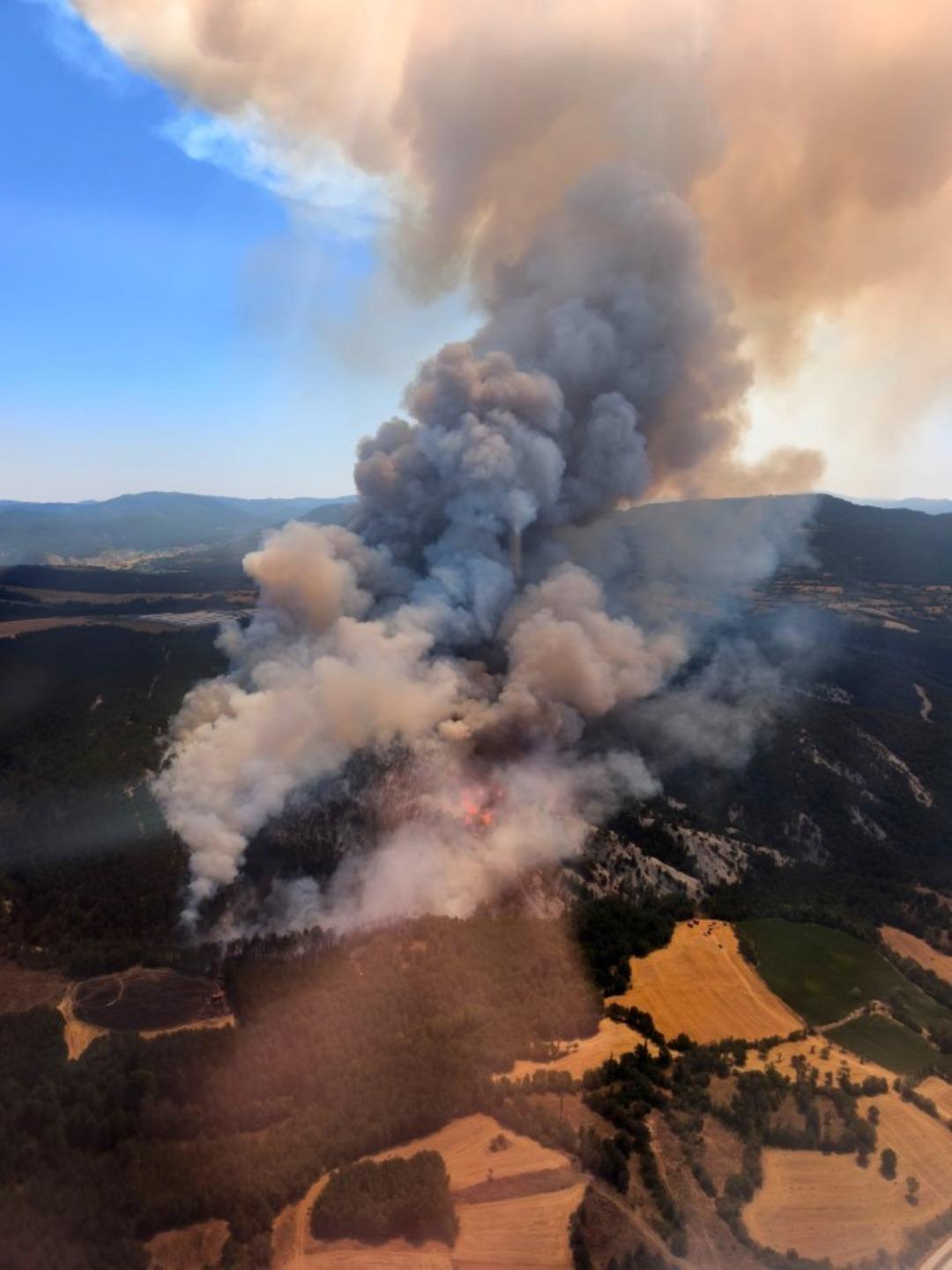 Bolu’daki orman yangınıyla ilgili 1 kişi tutuklandı 2