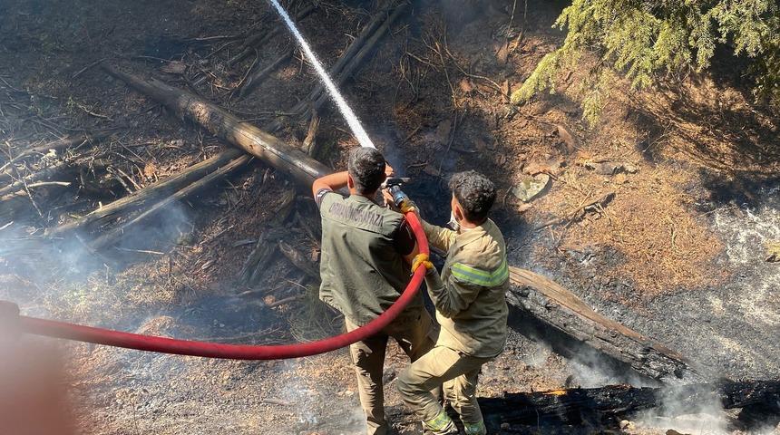 Kahramanmaraş'taki orman yangını kontrol altına alındı