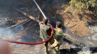 Kahramanmaraş'taki orman yangını kontrol altına alındı