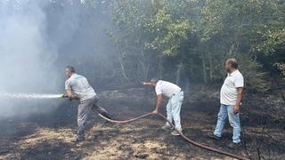 Kırklareli'nde çıkan orman yangını söndürüldü