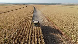 Tarım ÜFE temmuz rakamları belli oldu