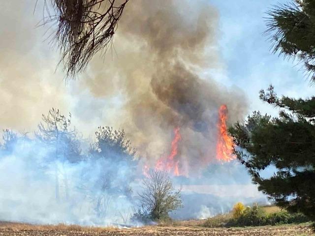 Osmaniye’de ormanlık alanda yangın çıktı 2