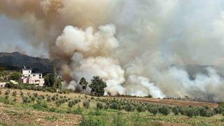 Osmaniye’de ormanlık alanda yangın çıktı