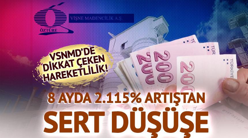 VSNMD: 8 ayda 2.115% artıştan sert düşüşe