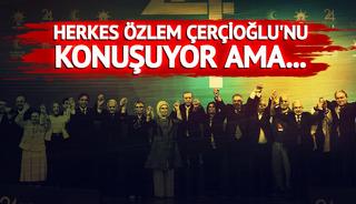 AK Parti'nin 'doğum gününe' damga vurdular