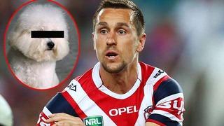 Ünlü sporcu köpeği taciz etti!