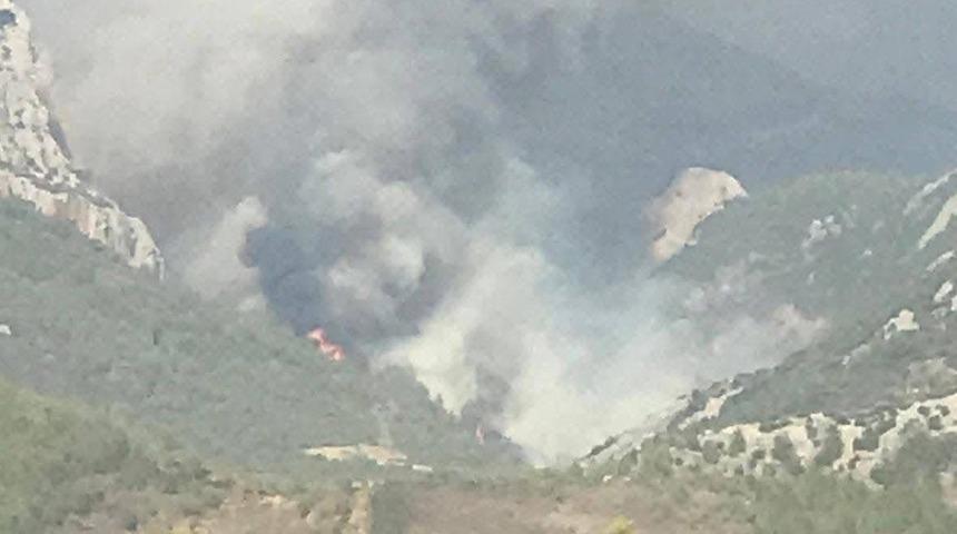 Mersin'de ikinci orman yangını