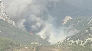 Mersin'de ikinci orman yangını