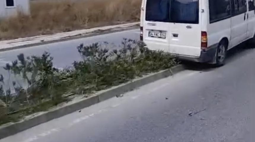 Kapaklı’da kontrolden çıkan minibüs refüjdeki ağaca ve direğe çarptı