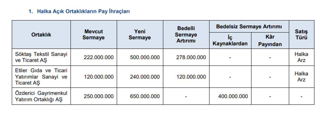 SPK bülteni paylaştı: 1 şirkete para cezası, bazı sitelere erişim yasağı geldi 2