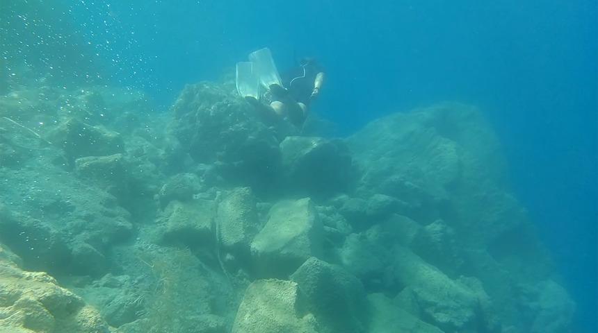 Van Gölü'nün derinliklerinde mikrobiyalitler ve inci kefalleri böyle görüntülendi