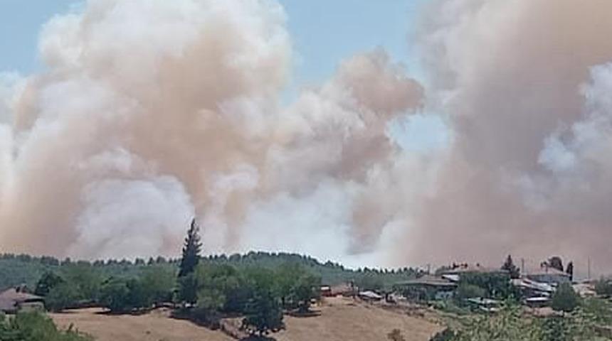 Kocaeli'de orman yangını başladı