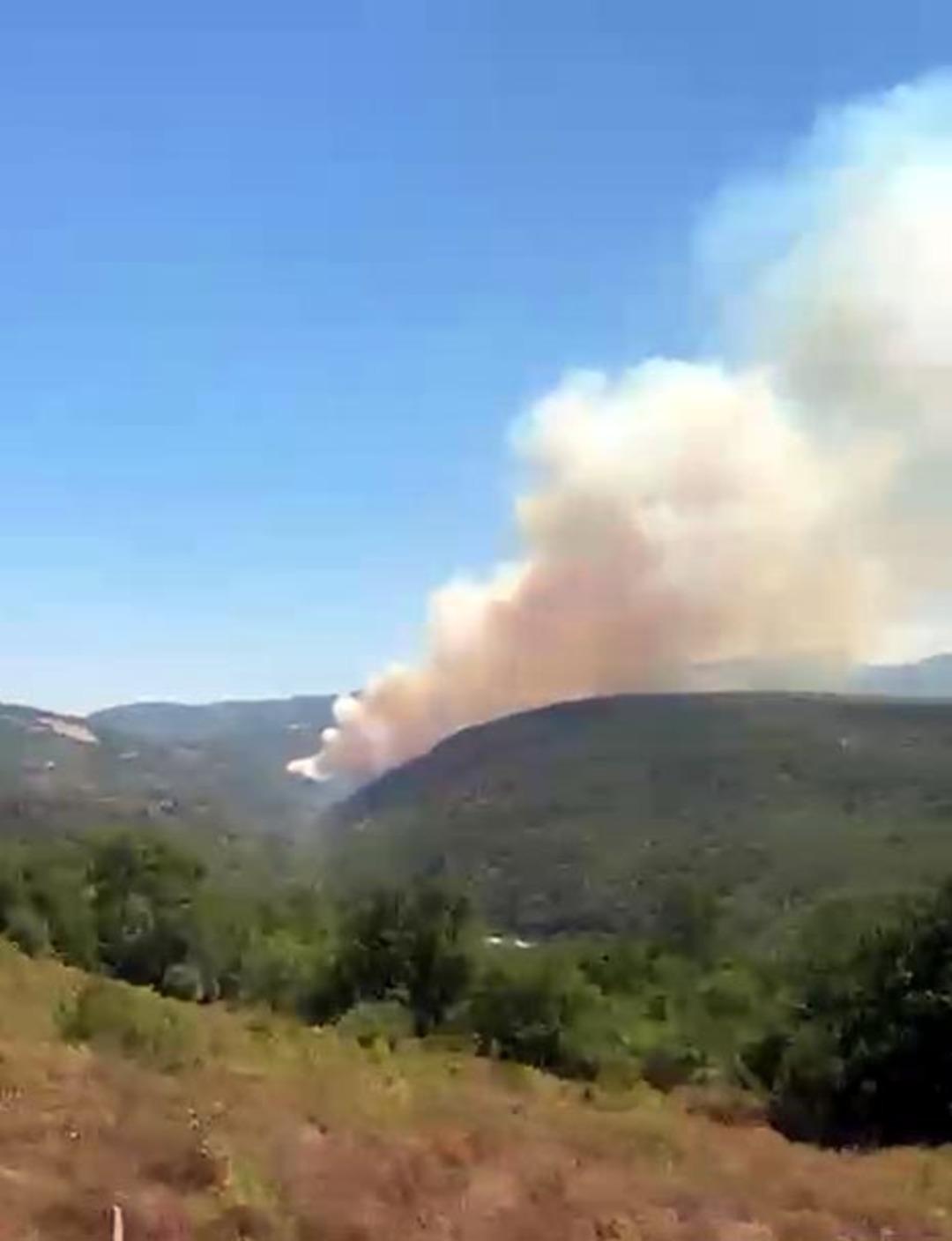 Kocaeli de orman yangını: Yerleşim yerine sıçardı, 3 mahalle tahliye edildi! 2