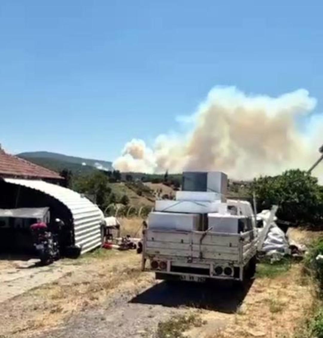Kocaeli de orman yangını: Yerleşim yerine sıçardı, 3 mahalle tahliye edildi! 3