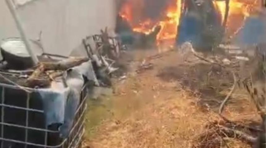 Orman yangını köye indi: "Kaç, artık hiçbir şey yapamayız"