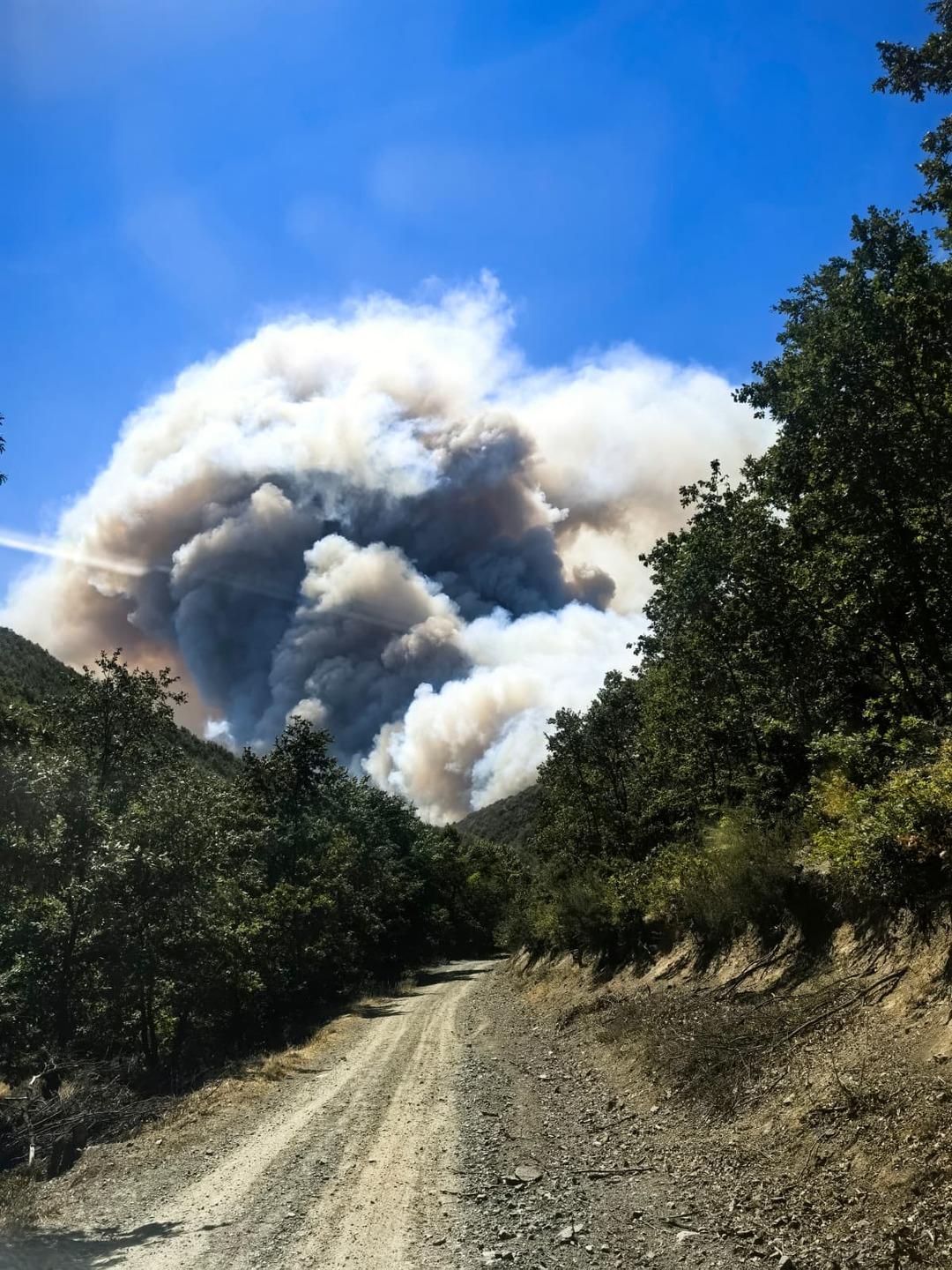 Kocaeli de orman yangını: Yerleşim yerine sıçardı, 3 mahalle tahliye edildi! 6