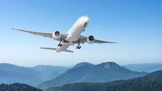 Sarhoş yolcu paniği! Uçak acil iniş yaptı! Havada yumruklu kavga...