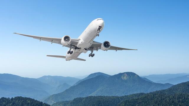 Sarhoş yolcu paniği! Uçak acil iniş yaptı! Havada yumruklu kavga...