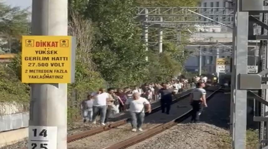 Marmaray hattına ağaç devrildi, yolcular demir yolunda yürüdü