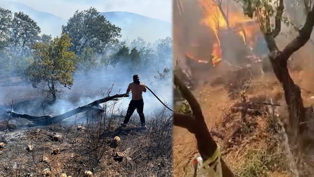 Kocaeli'de orman yangını: Yerleşim yerine sıçardı!