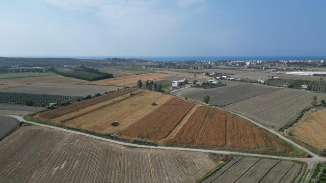 Her mahallede dönüm dönüm var! Dört bir yana satıyorlar