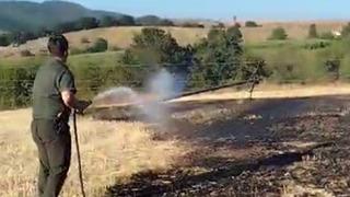 Bilecik'te çıkan yangın kontrol altında