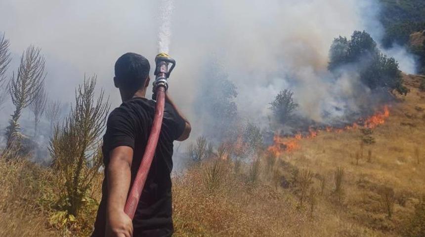 Bingöl’de kırsal alanda çıkan yangın söndürüldü