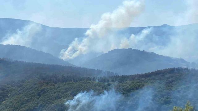 963 personel, 16 hava aracı ile Karamürsel’deki yangına büyük seferberlik