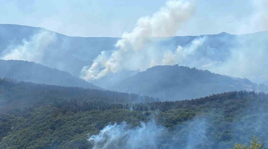 963 personel, 16 hava aracı ile Karamürsel’deki yangına büyük seferberlik