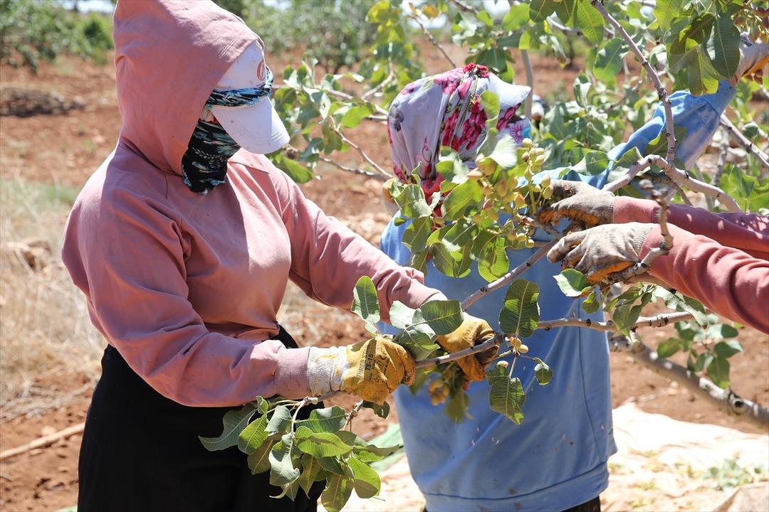 Getirisini duyan ona yöneliyor! Fiyatı 700 TL  Gelecek sene...  4