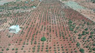 Getirisini duyan ona yöneliyor! Fiyatı 700 TL 'Gelecek sene...'