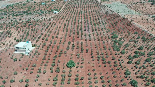 Getirisini duyan ona yöneliyor! Fiyatı 700 TL 'Gelecek sene...'