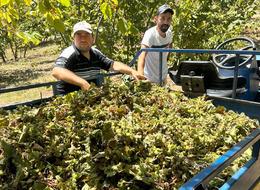 Günlük 7 bin TL'ye çıkarak rekor kırdı! 
