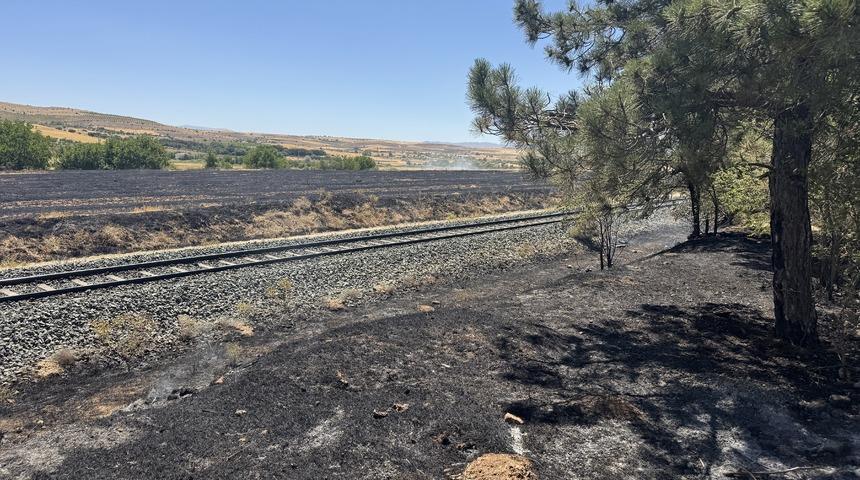 Elazığ'da anızda çıkıp ağaçlık alana sıçrayan yangın söndürüldü
