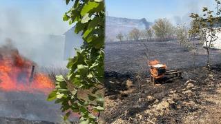 Karmürsel'den sonra Kandıra'da... Yerleşim yerinde başlayan yangın korkuttu!